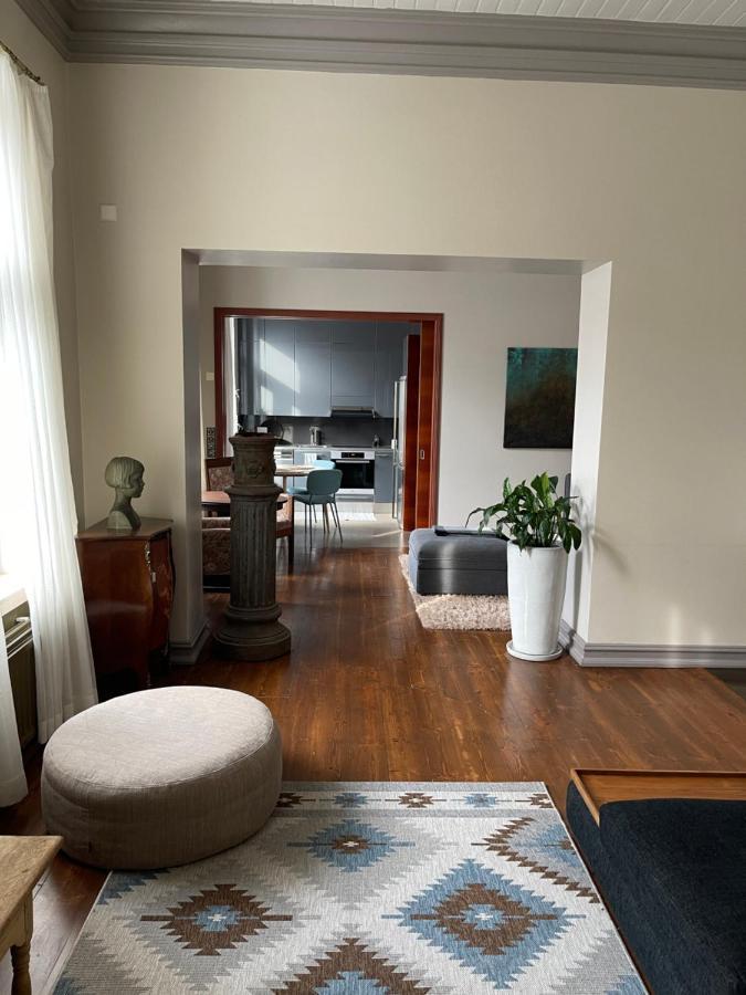 Luxury Apartment Downtown Миккели Экстерьер фото